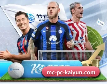 开云体育 APP 深度功能（kaiyun）